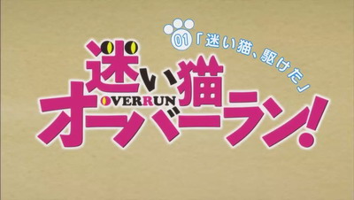 迷い猫オーバーラン