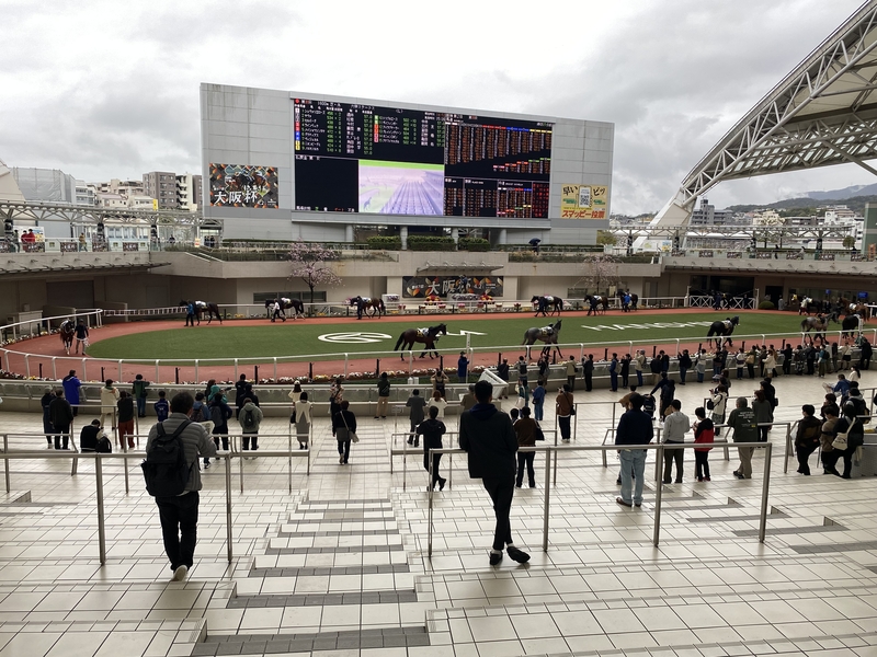 阪神競馬場